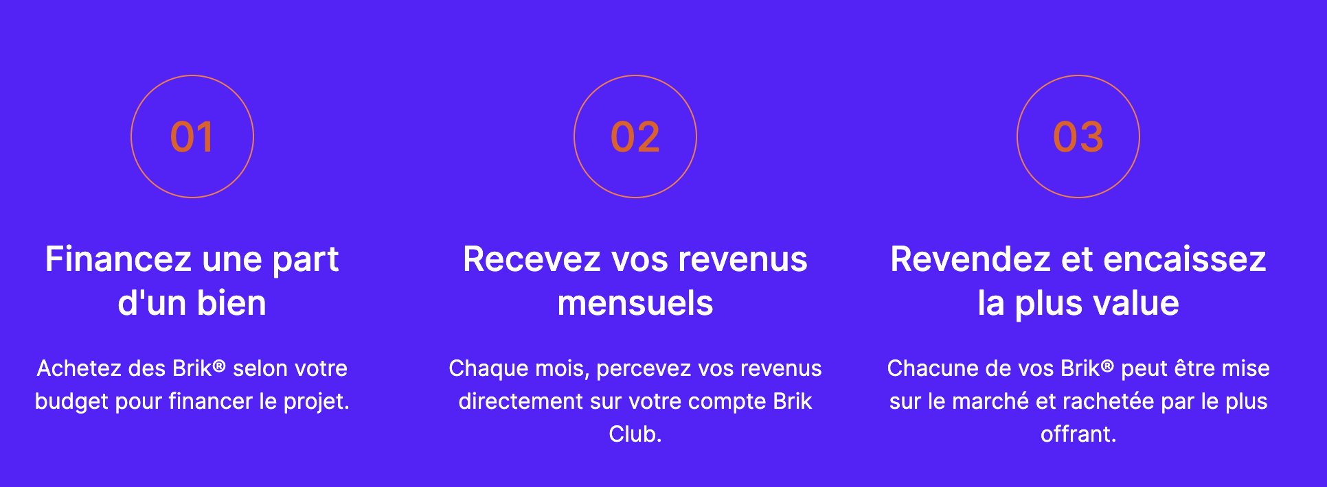 Le déroulement d’un investissement avec Brik Capture d'écran du site Brik